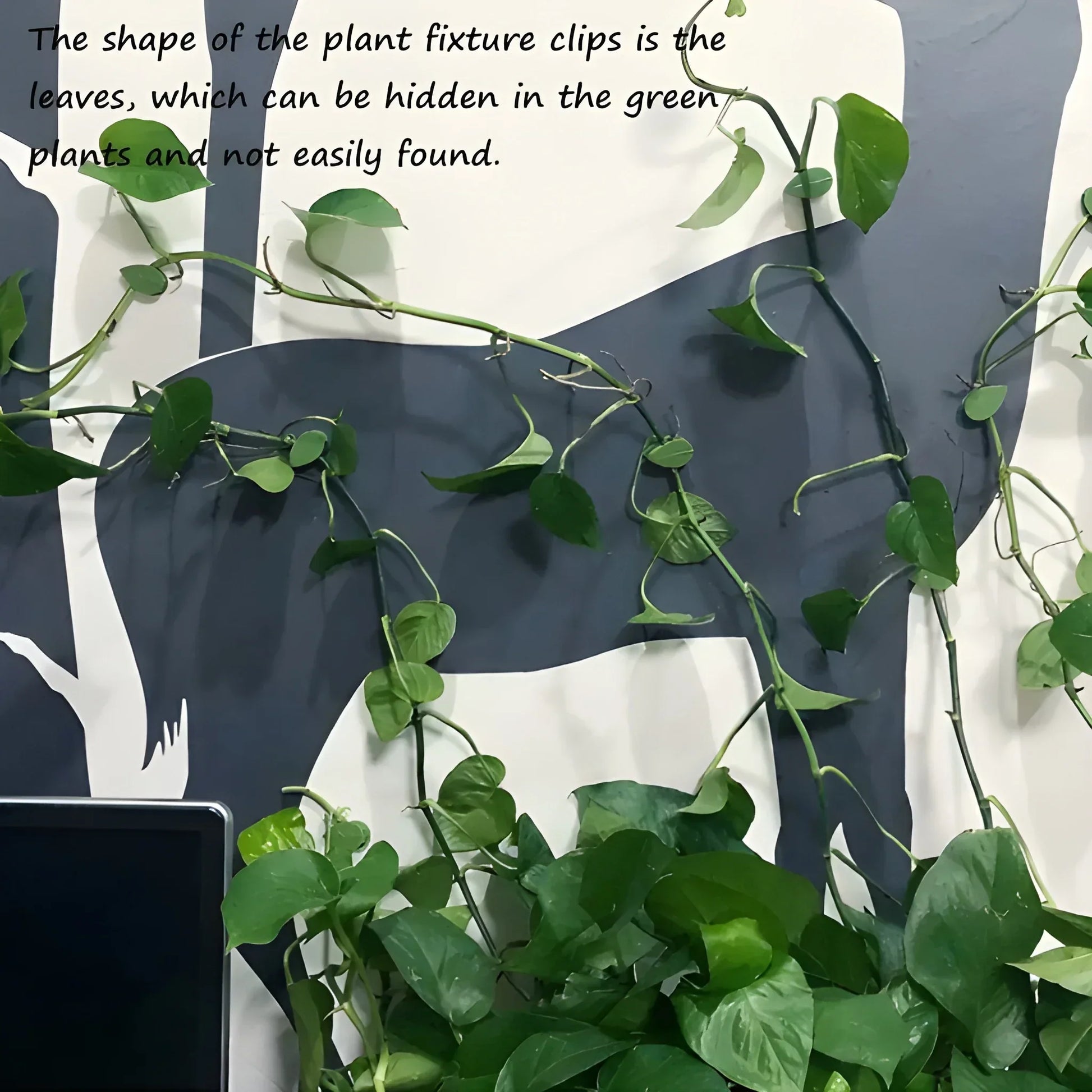 Invisible Plant Support Clips - Garden & Outdoors