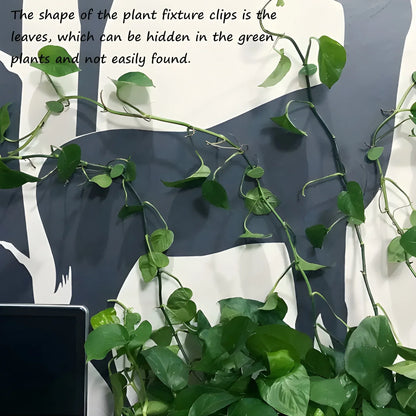 Invisible Plant Support Clips - Garden & Outdoors
