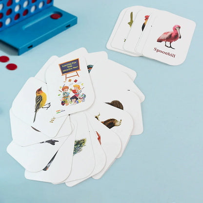 Best kidkraft birds flashcards – 32 cards - educational flash | 2025 | fast shipping