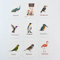 KidKraft Birds Flashcards – 32 Cards