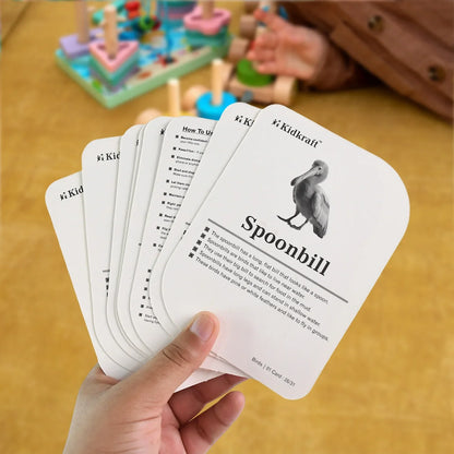 Best kidkraft birds flashcards – 32 cards - educational flash | 2025 | fast shipping