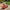 Best kids ride-on push car - & pedal riding vehicles | 2026 | fast shipping