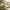 Best kitchen lemon squeezer - juicer accessories | 2026 | fast shipping