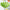 Best leaf-shaped fruit basket (1 pc) - food storage containers | 2025 | fast shipping