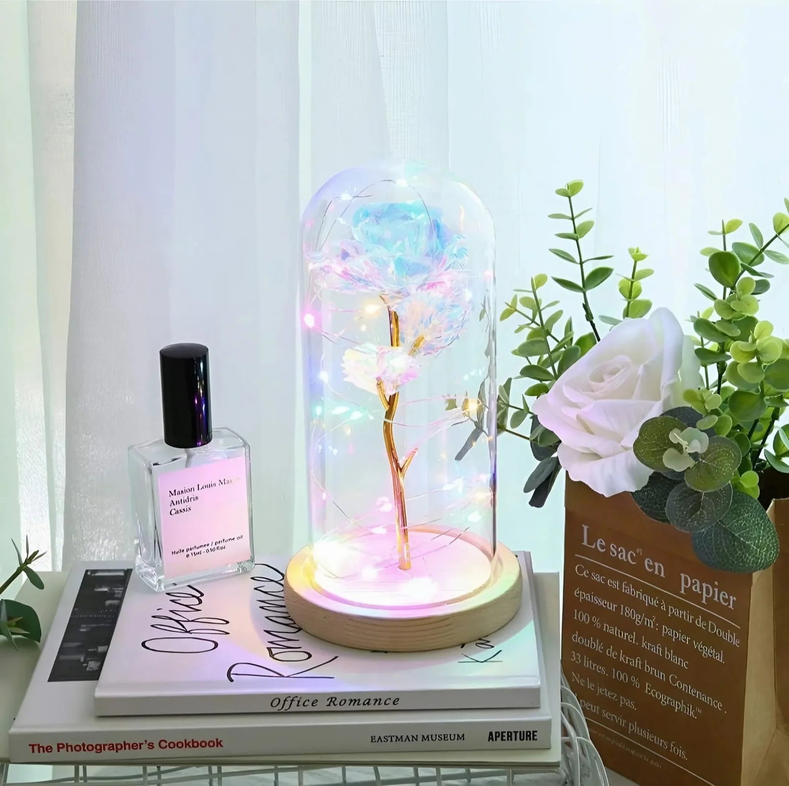 LED Rose Light Decor