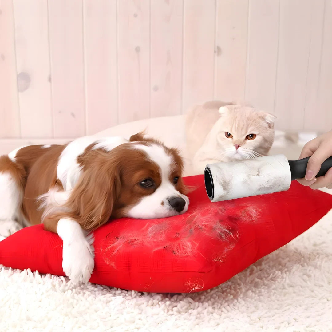 Lint Roll Remover For Cloth