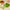 Best lunch box with leakproof compartments - containers | 2025 | fast shipping