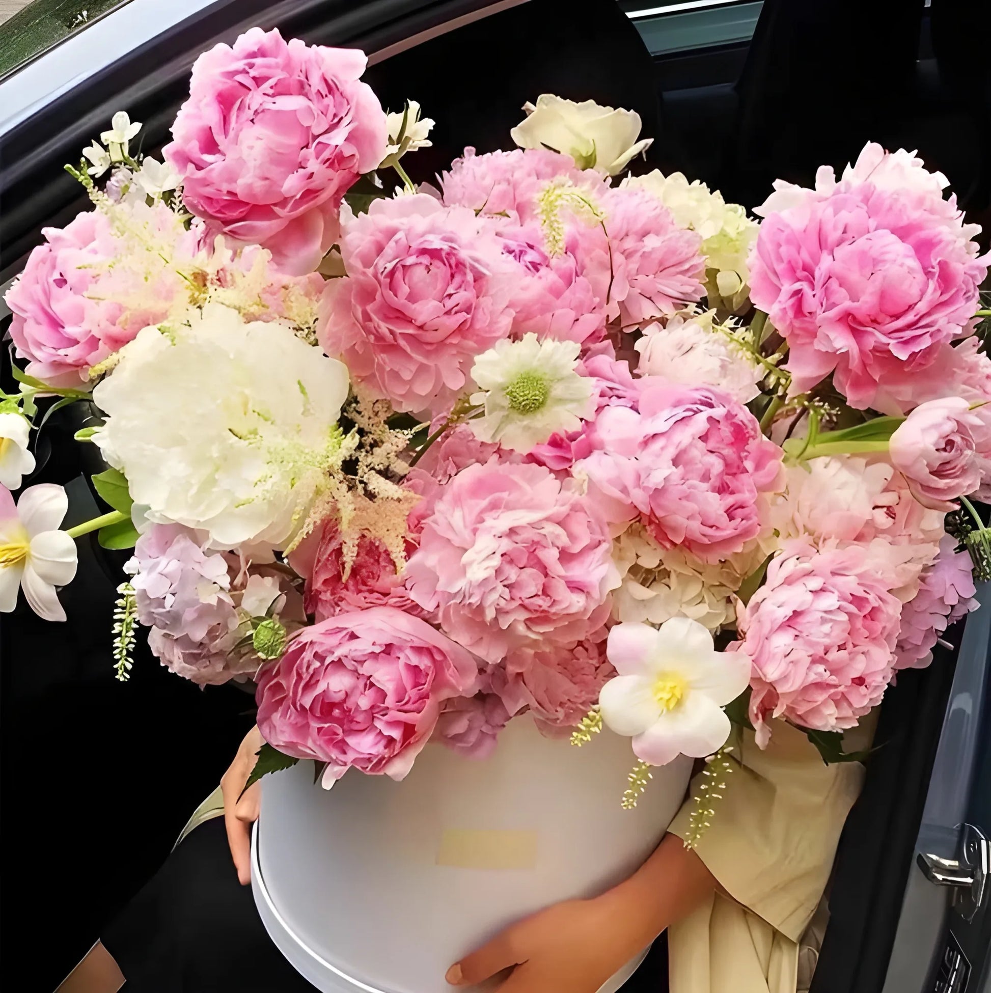 Luxury Peony Flower Seeds