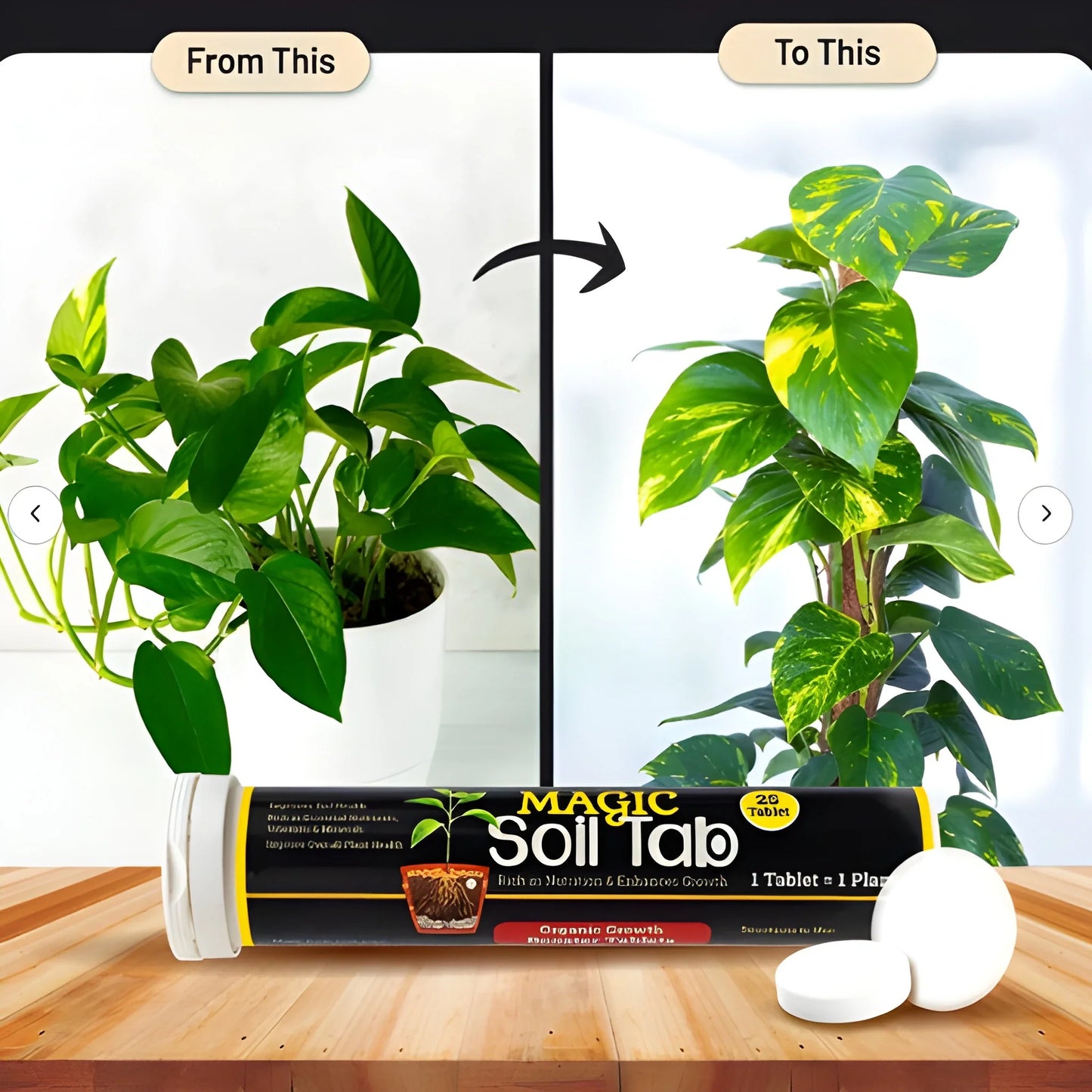 Magic Soil Tablets Buy 1 get 1 free