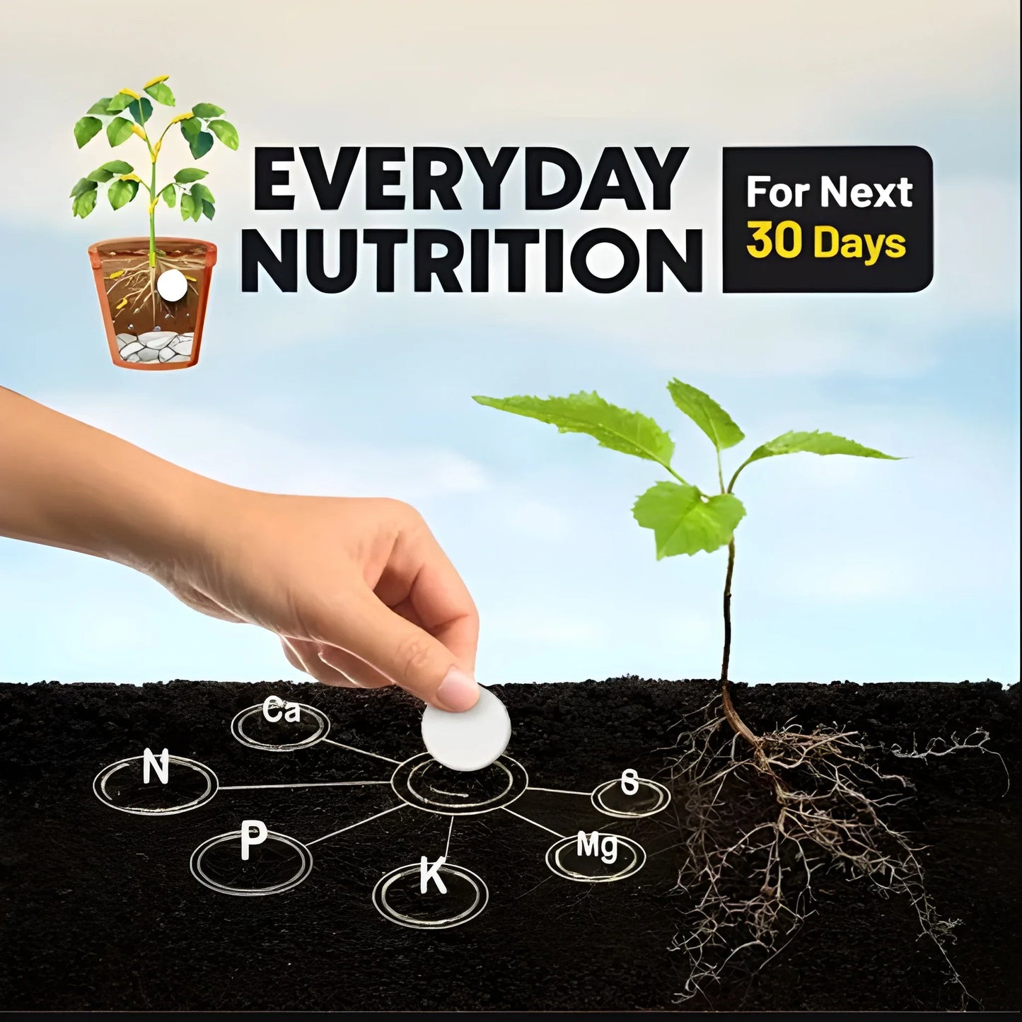 Magic Soil Tablets Buy 1 get 1 free