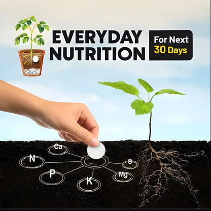 Magic Soil Tablets Buy 1 get 1 free