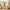 Best manual citrus press juicer - juicers | 2026 | fast shipping