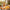 Best manual citrus press juicer - juicers | 2026 | fast shipping