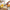 Best manual lemon squeezer - garlic presses | 2026 | fast shipping