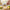Best manual lemon squeezer - garlic presses | 2026 | fast shipping