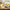 Best manual lemon squeezer - garlic presses | 2026 | fast shipping