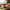 Best manual vegetable chopper pro - kitchen slicers | 2026 | fast shipping