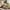 Best manual vegetable chopper pro - kitchen slicers | 2026 | fast shipping
