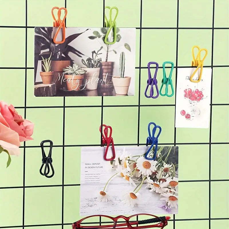 Metal Clothes Pins Clips (5 Pcs Set) - Home Improvement