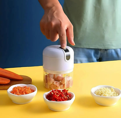 Mini Electric Food Chopper Home & Kitchen