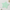 Mint Star Hair Catcher - Home & Kitchen