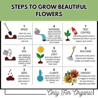 Mix Flower Seeds (Pack of 100 Seeds)
