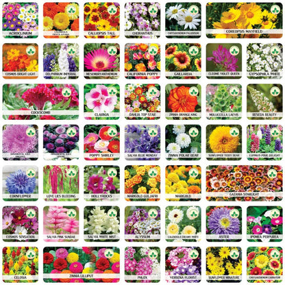 Mix Flower Seeds (Pack of 100 Seeds)