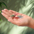 Multicolor Paper Clips – 250 pcs