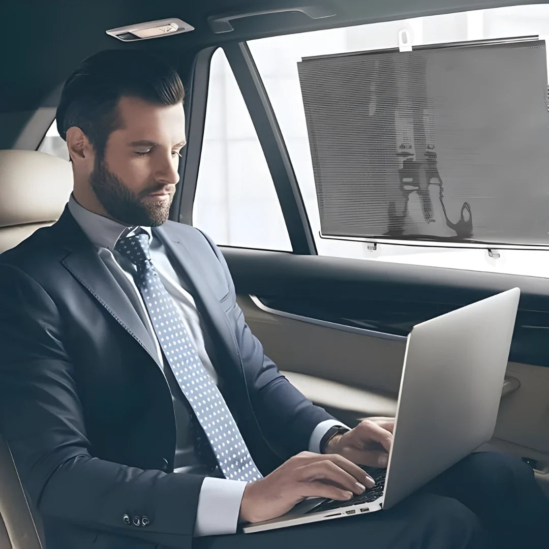 Multipurpose Portable Window Curtain