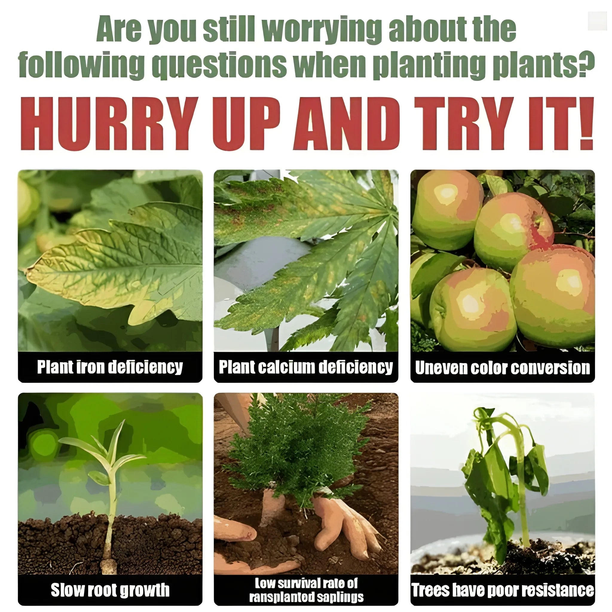 Plant Revival Growth Elixir