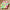 Best naphthalene balls multicolour - 2025 | fast shipping