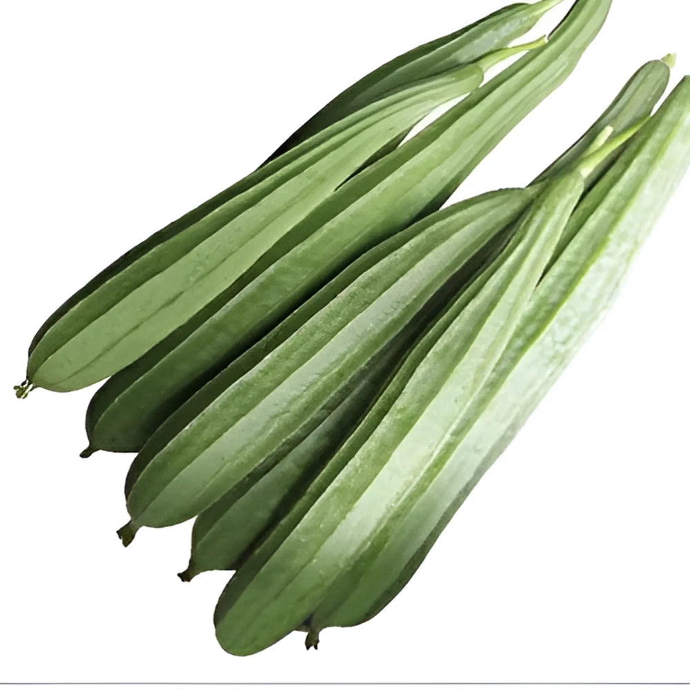 Natural Luffa Sponge Seed