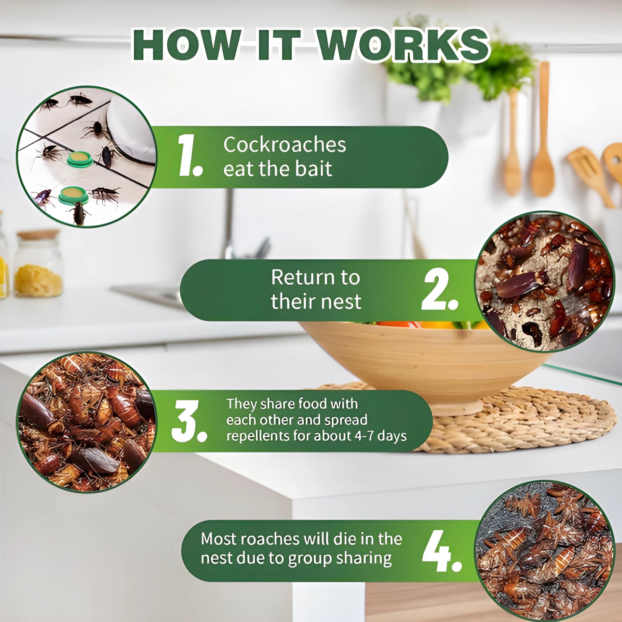 Cockroach Killer Gel Bait