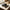 Best non-stick sandwich maker - makers | 2026 | fast shipping
