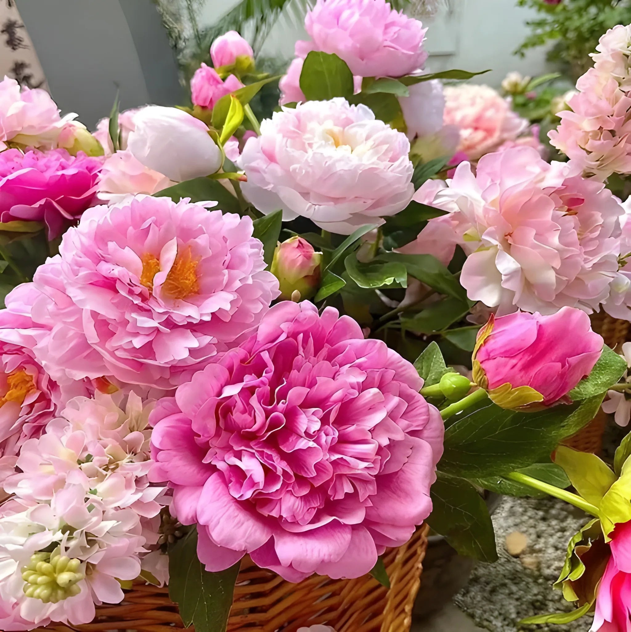 Luxury Peony Flower Seeds