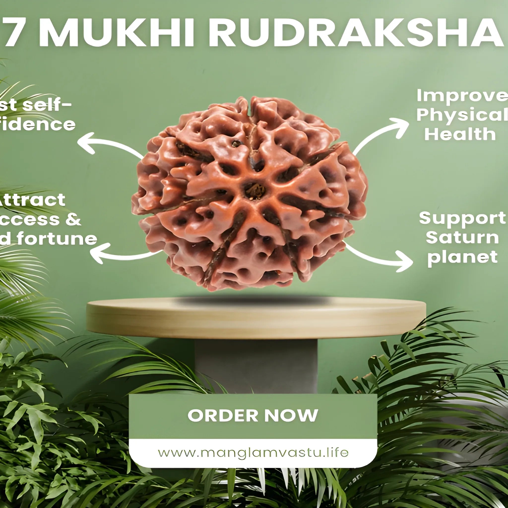 Sacred Shiva Rudraksha Pendant