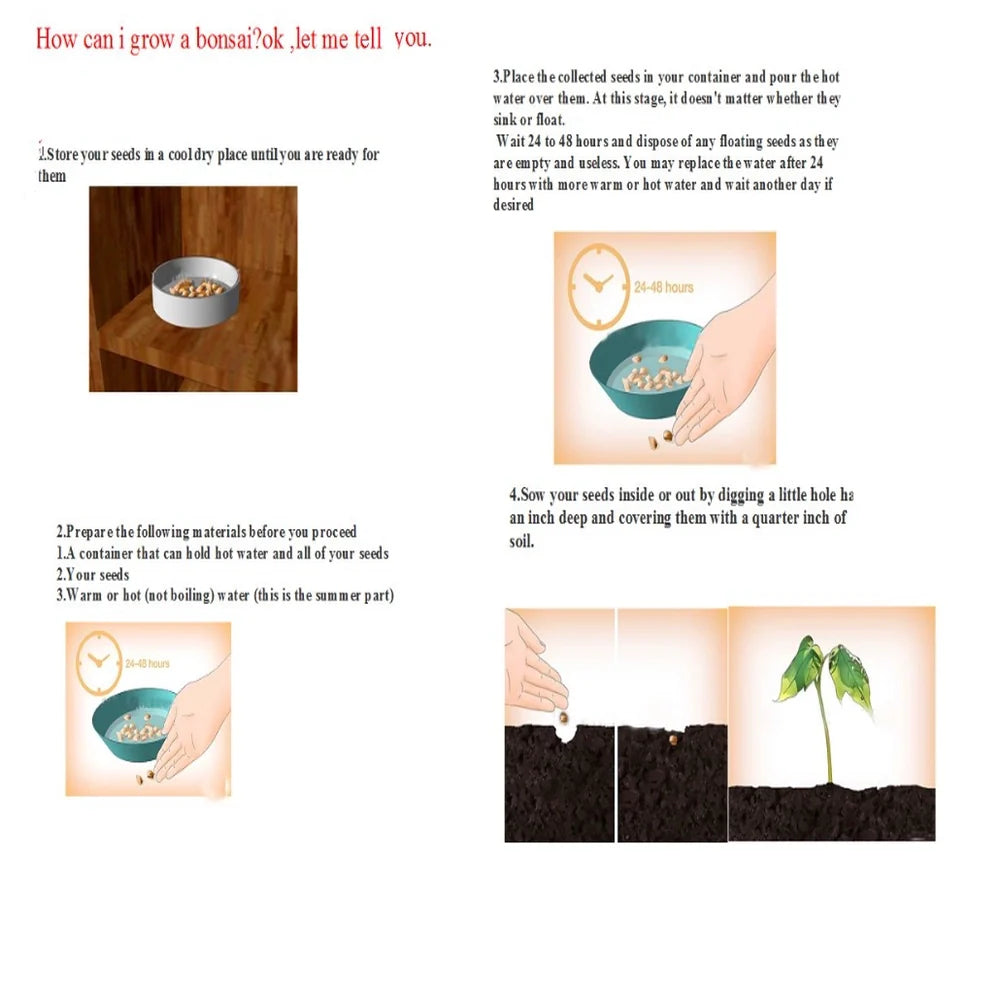 Organic Brussels Sprouts Seeds