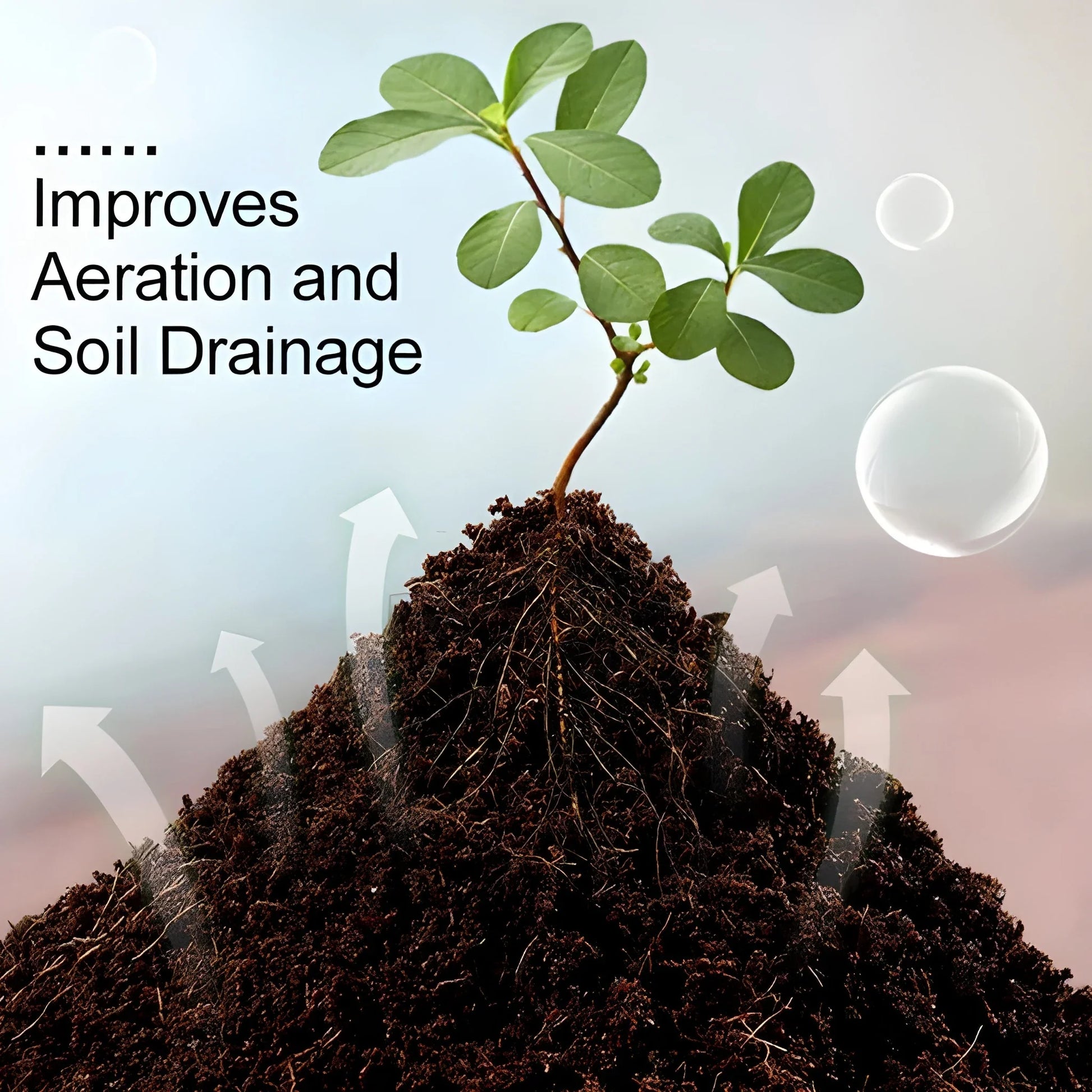 Organic Coconut Coir Bricks