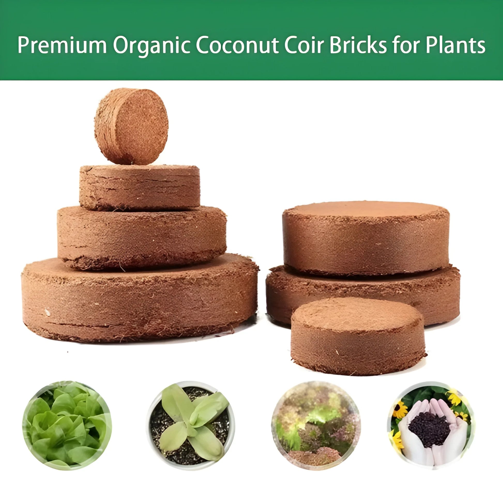 Organic Coconut Coir Bricks
