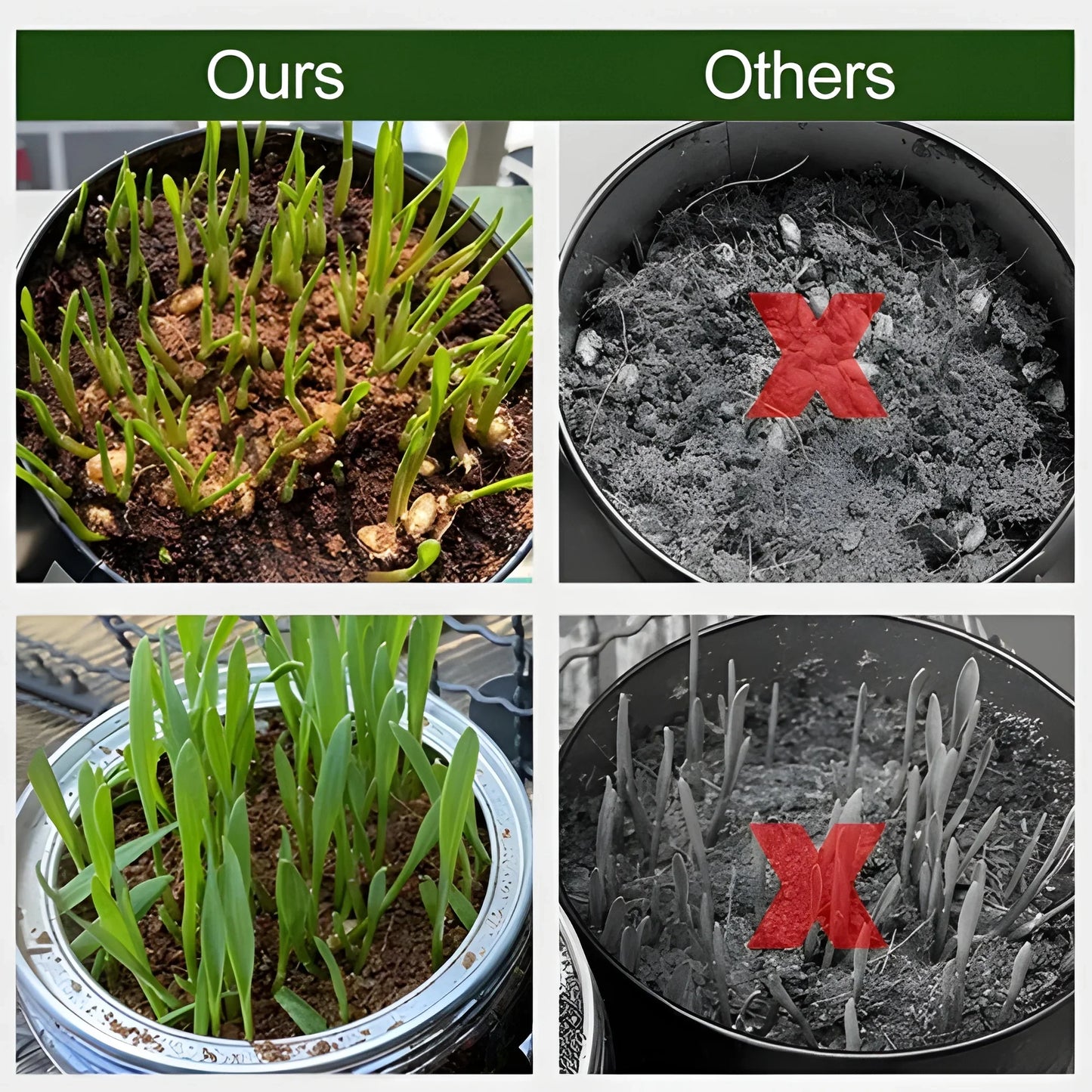 Organic Coconut Coir Bricks