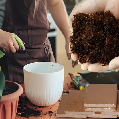 Organic Coconut Coir Bricks