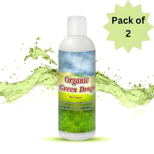 Organic GreenBoost Plant Fertilizer