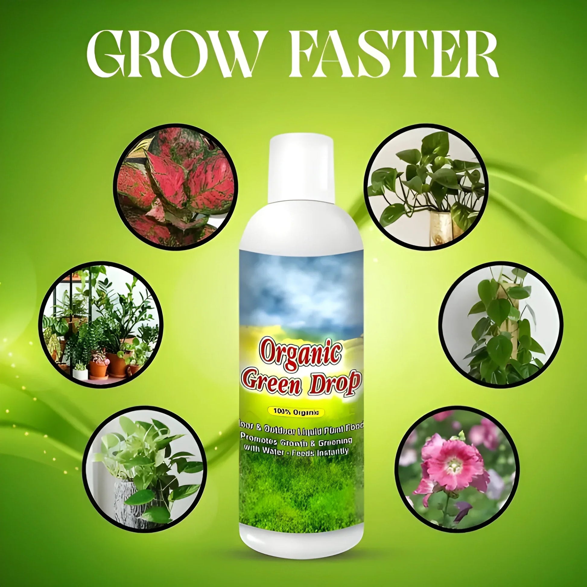Organic GreenBoost Plant Fertilizer