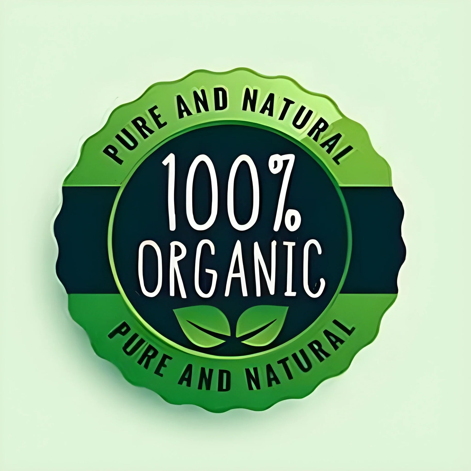 Organic Lettuce Seeds – Pack of 20