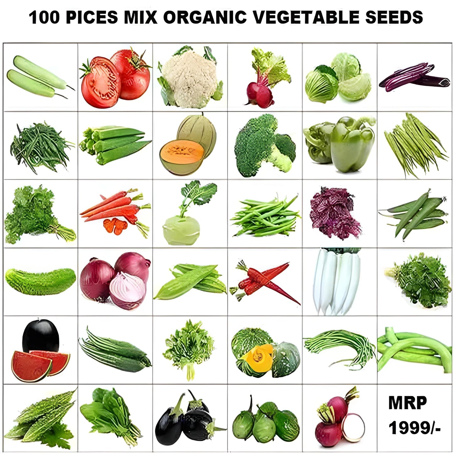 Organic Seed Starter Kit