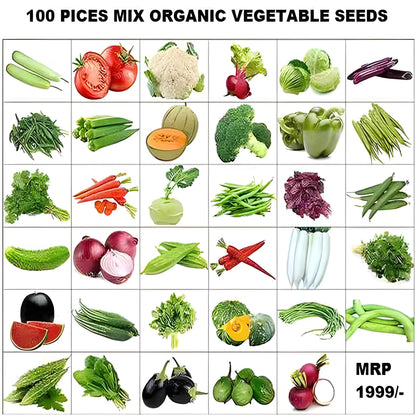 Organic Seed Starter Kit