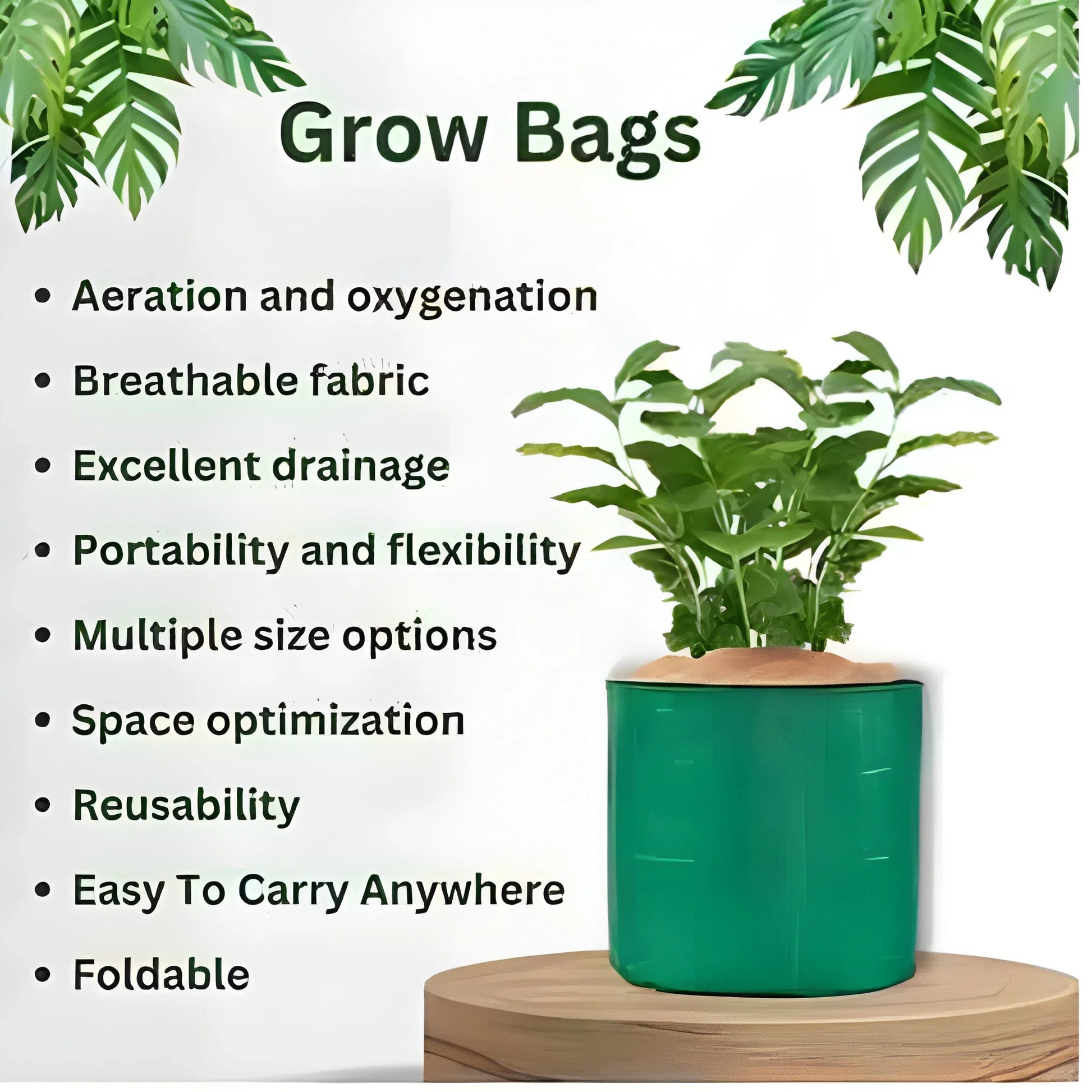 Organic Seed Starter Kit