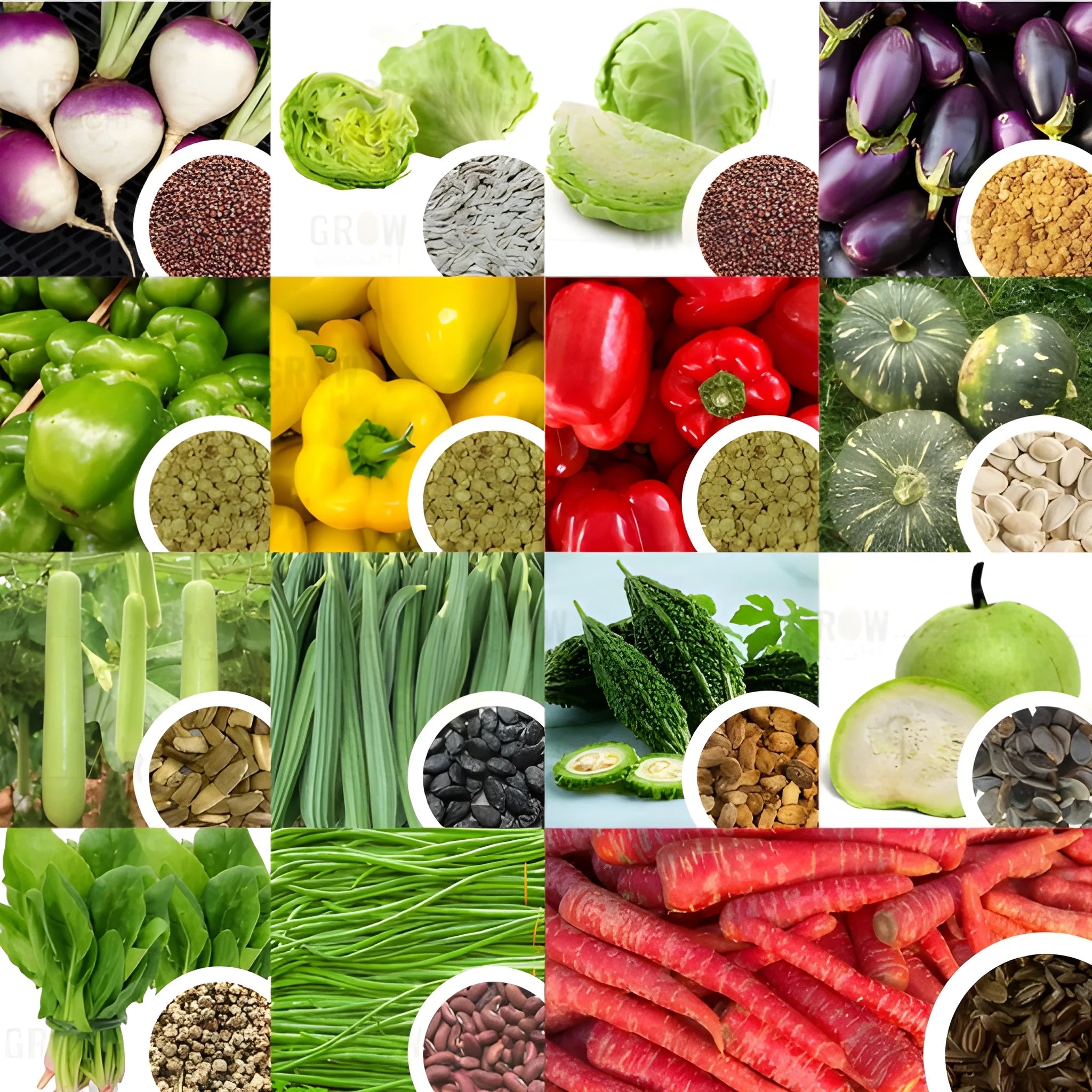 Organic Seed Starter Kit