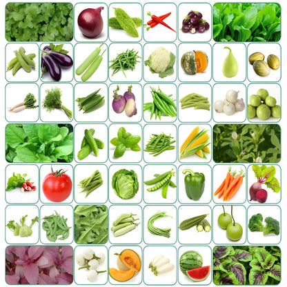 Organic Seed Starter Kit