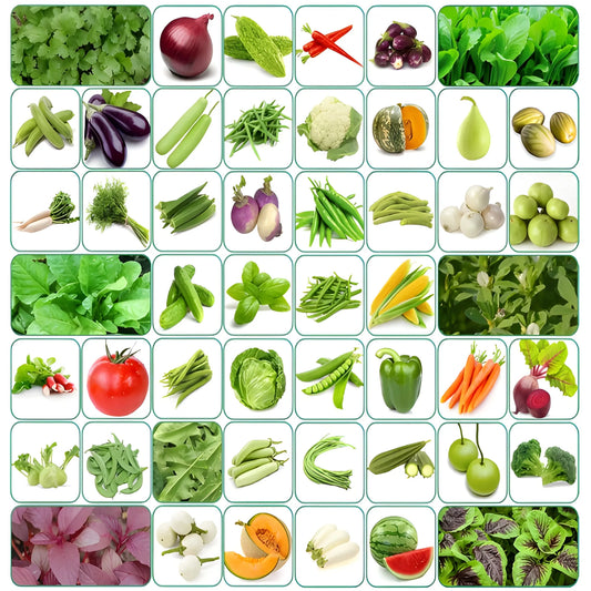 Organic Seed Starter Kit